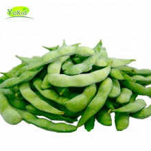 China Bulk Wholesale Distribute IQF frozen soya beans